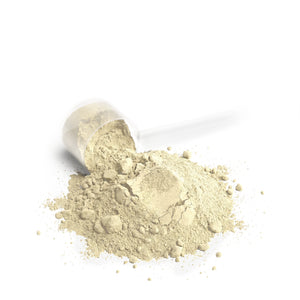 Foundation-Performance Whey Protein Blend (Vanilla)