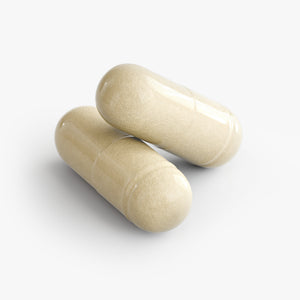 Absorbe-Gut Health Support